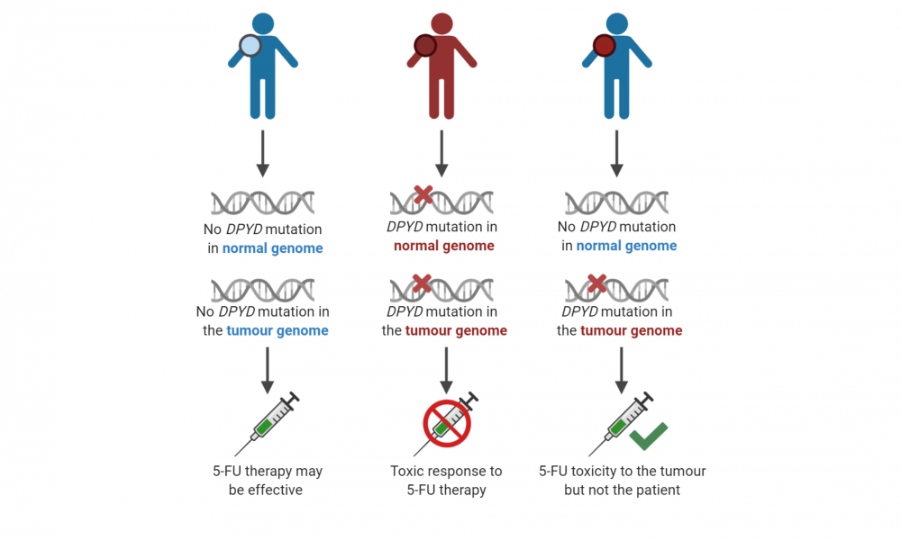 Genome sequencing helps prioritize cancer treatment